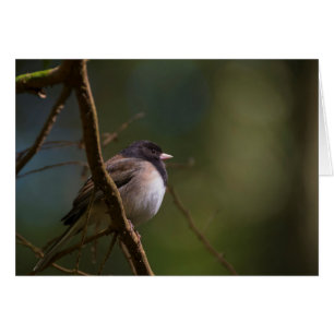 Cartão Orgão Junco