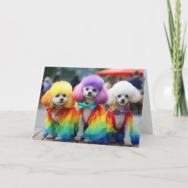 Cartão Orgulho gay Bichon Frisse