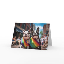 Orgulho gay Boston Terriers