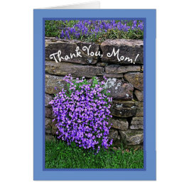 CARTÃO ORGULHOSA DA MÃE/FLÔRES ROXAS CAÍNDO SOBRE PAREDE 