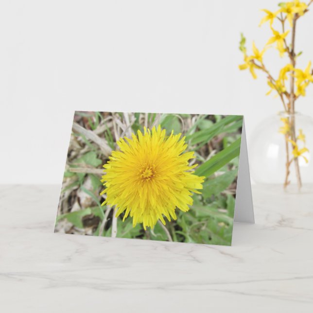 Cartão Orgulhosa Flor Dandelion. (Flor Amarela)
