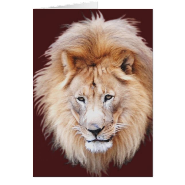 CARTÃO ORGULHOSO (Frente)