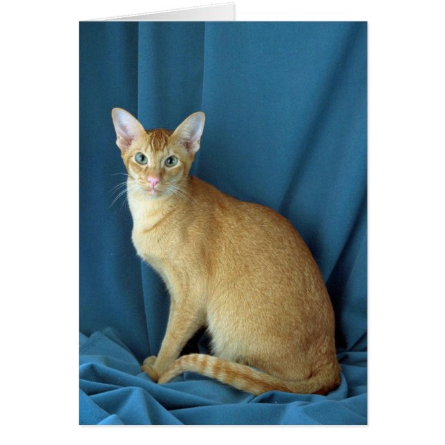 Cartão Oriental estrangeiro, com tique vermelho (Frente)