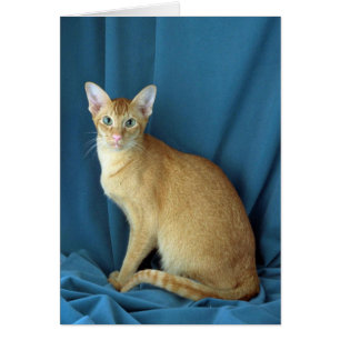 Cartão Oriental estrangeiro, vermelho tiquetaqueou