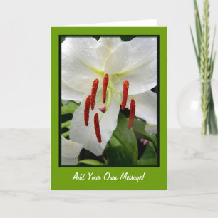 Cartão Oriental White Lily