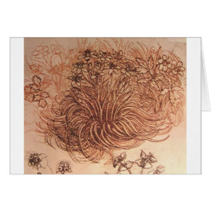 Cartão Ornithogalum (estrela de Bethlehem)