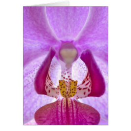 Cartão Orquídea