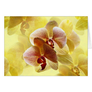 Cartão Orquídea