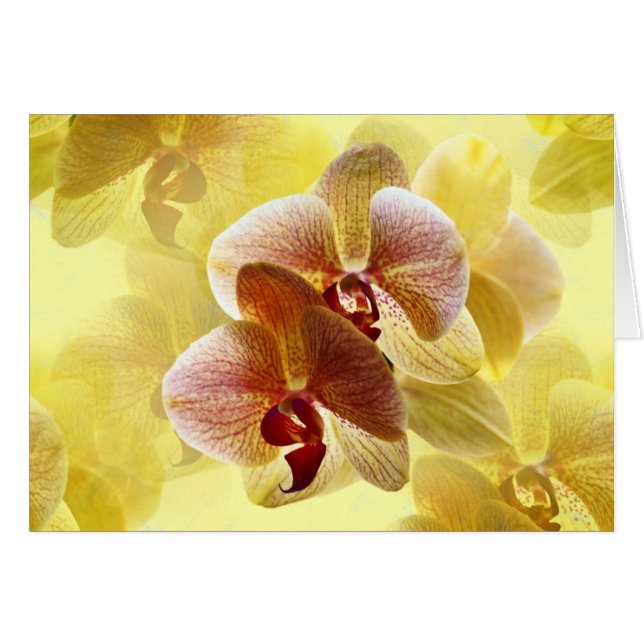 Cartão Orquídea (Frente Horizontal)