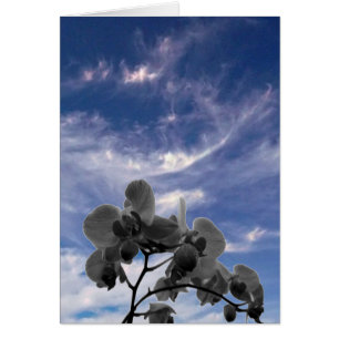 Cartão Orquídea