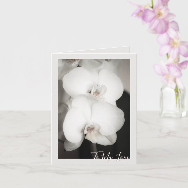 Cartão Orquídea 8931 (Orquídea)