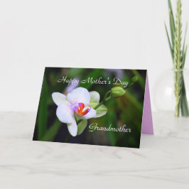Cartão Orquídea de Phalaenopsis Dia de as mães Feliz