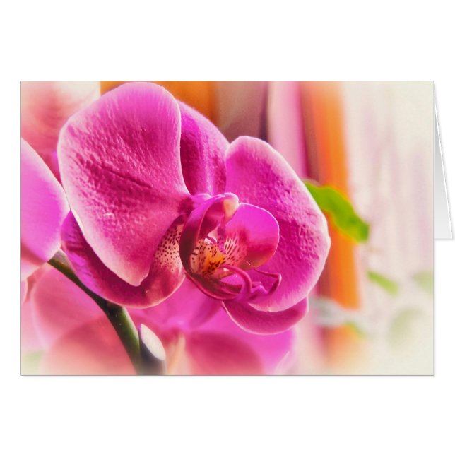 Cartão Orquídea difusa (Frente Horizontal)