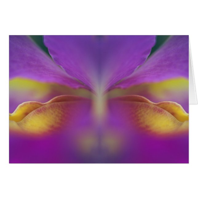 Cartão Orquídea híbrida, Flórida 2 (Frente Horizontal)