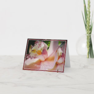 Cartão Orquídea PInk suave