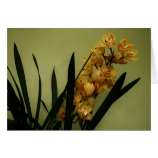 Cartão "orquídea" por Larry Coressel