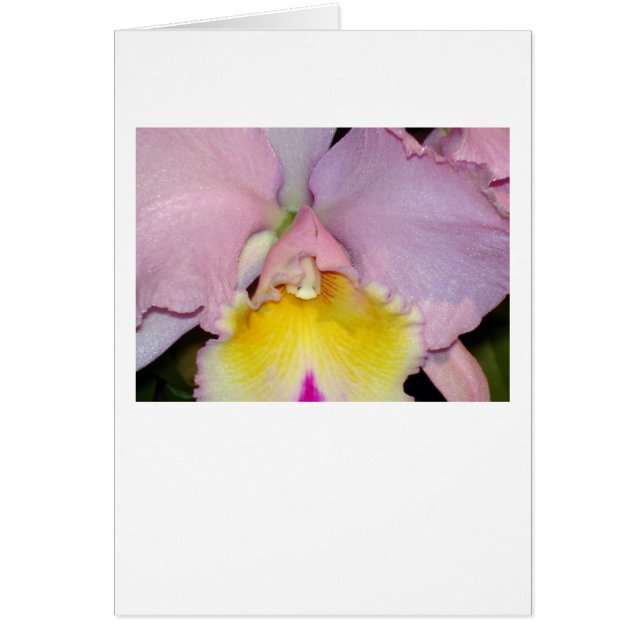 Cartão Orquídea primavera (Frente)