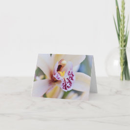 Cartão Orquídea Rosa-Creme do Jardim de Gertie