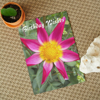 Cartão Orquídea Rosa Dahlia Floral Aniversário
