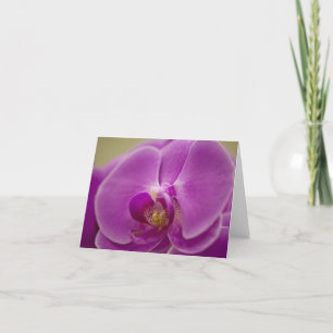 Cartão Orquídea Roxa