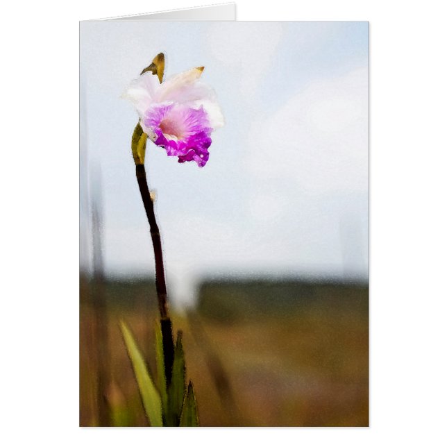 Cartão Orquídea Selvagem de Vulcão do Havaí Tropical (Frente)