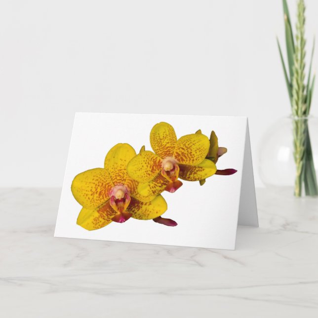 Cartão Orquídeas Amarelas em Branco (Frente)