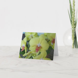 Cartão Orquídeas amarelas em uma placa vazio