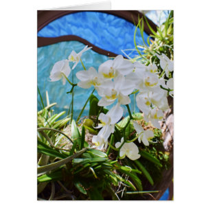 Cartão Orquídeas Brancas