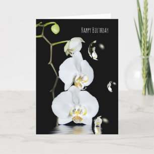 Cartão orquídeas brancas com aniversário da reflexão d