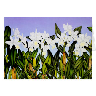 Cartão Orquídeas brancas de Cattleya