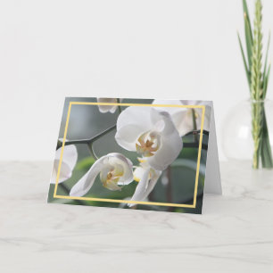 Cartão Orquídeas Brancas Modernas Elegantes Moldura Doura