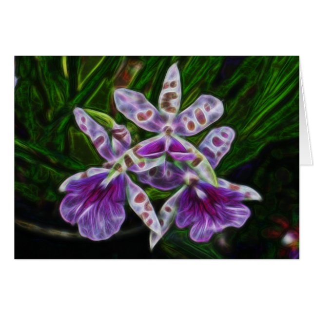 Cartão Orquídeas de Longwood (Frente Horizontal)