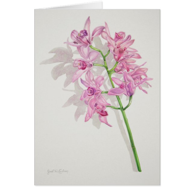 Cartão Orquídeas do Cymbidium (Frente)