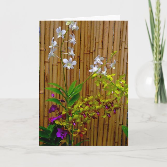 Cartão Orquídeas e bambu (Frente)