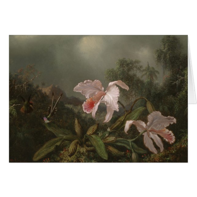 Cartão Orquídeas e colibris da selva (Frente Horizontal)