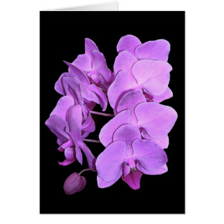 Cartão orquídeas (estilo do fresco)