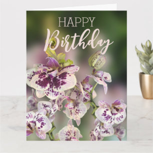 Cartão Orquídeas Floral Tropical Feliz Aniversário Ouro R