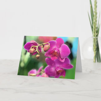 Cartão Orquídeas rosa