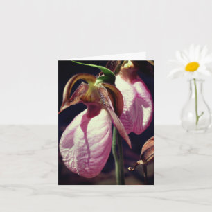 Cartão Orquídeas Selvagens do Slipper Flor Nota Personali