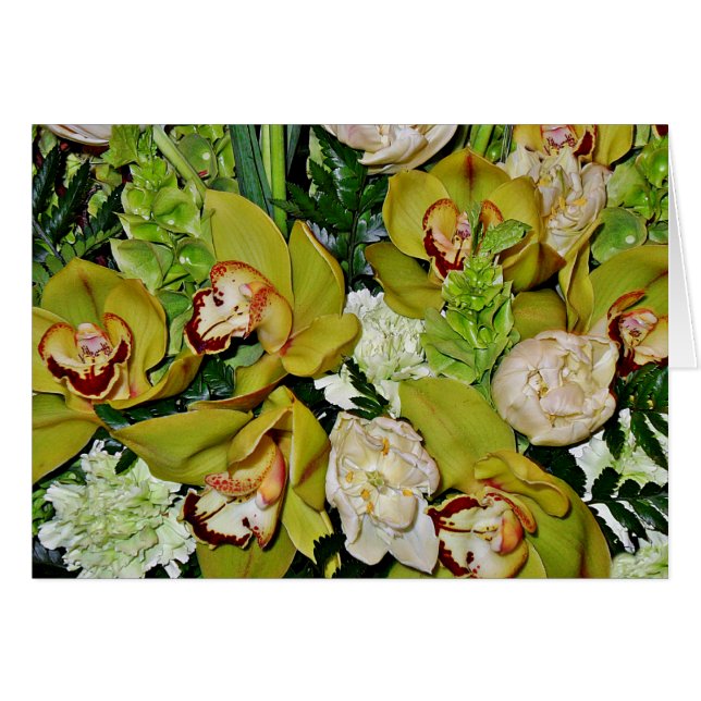 Cartão Orquídeas Verdes do Amor (Frente horizontal)