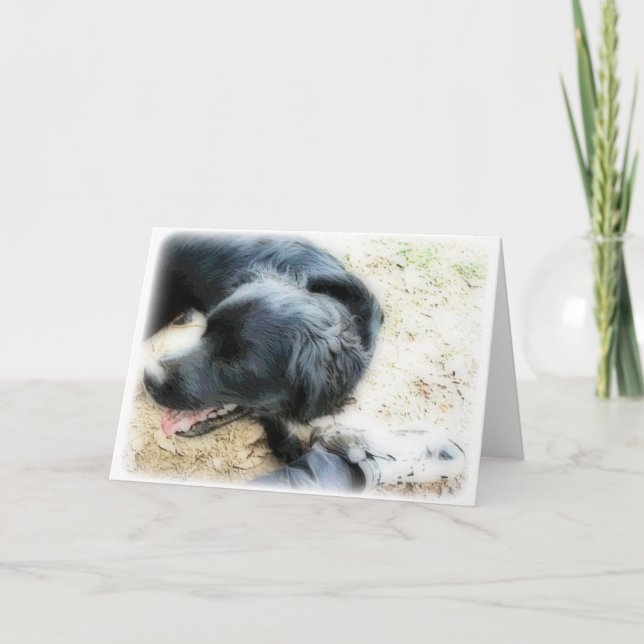 Cartão Orton Smokey e Matte (Frente)