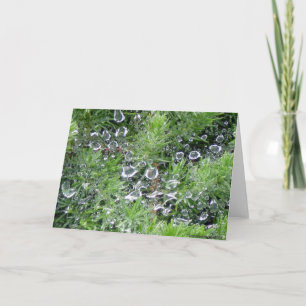 Cartão Orvalho da manhã