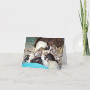 Cartão Orvietta e Kids Note Card