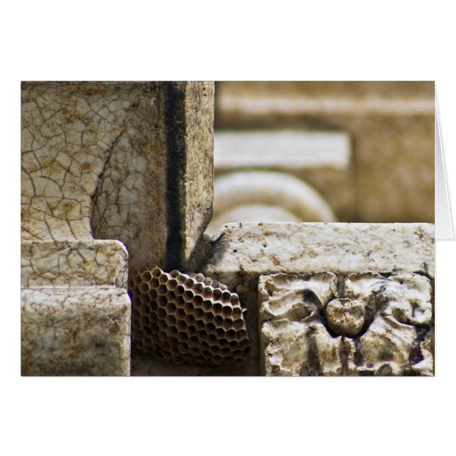 Cartão Os arquitetos Excelentes (Frente horizontal)