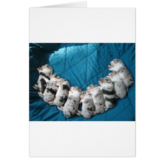 Cartão os aussies fazem-me sorrir (Frente)