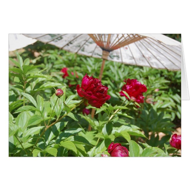 Cartão Os Belles (Frente Horizontal)