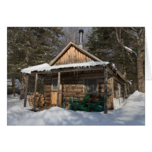 Cartão Os cabines do pequeno Lyford Pond da AMC