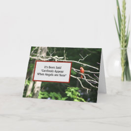 Cartão Os Cardeais Estão Perto Dos Ângulos Aparecem.