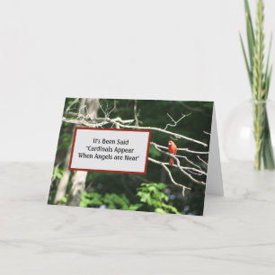 Cartão Os Cardeais Estão Perto Dos Ângulos Aparecem.