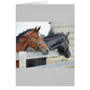 Cartão Os Cavalos Amantes
